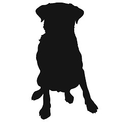 Image showing Labrador Retriever Silhouette