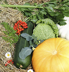 Image showing Autumn vegetables
