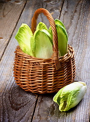 Image showing Endive Leaves