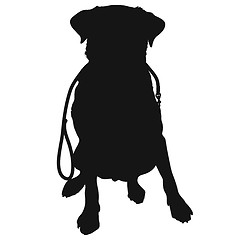 Image showing Labrador Retriever Leash Silhouette