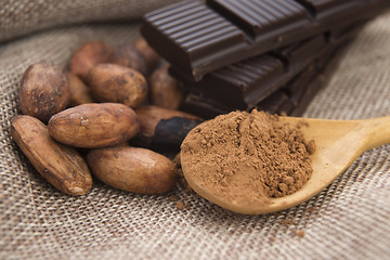 Image showing Cocoa (cacao) beans with chocolate