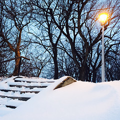 Image showing Streetlight and trees in the snowy park