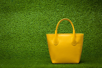 Image showing purse on green grass