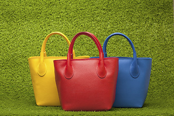 Image showing purses on green grass