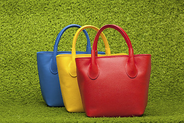 Image showing purses on green grass