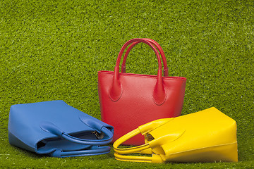 Image showing purses on green grass