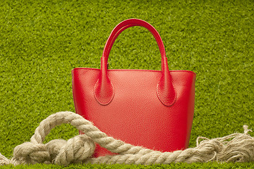 Image showing red purse on green grass
