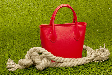 Image showing red purse on green grass