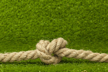 Image showing knot on rope over green grass