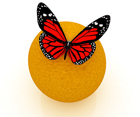 Image showing Red butterflys on a oranges