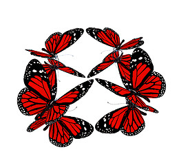 Image showing Butterflies