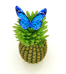 Image showing Blue butterflys on a pineapple