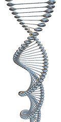 Image showing DNA structure model 