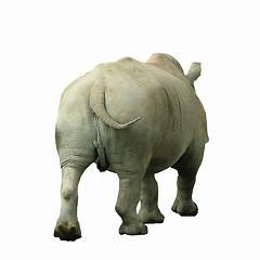 Image showing Rhino