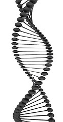 Image showing DNA structure model 