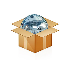 Image showing Sphere from dollar in cardboard box