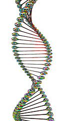 Image showing DNA structure model 