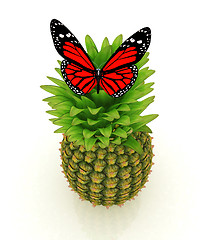 Image showing Red butterflys on a pineapple