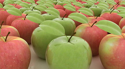 Image showing apples 