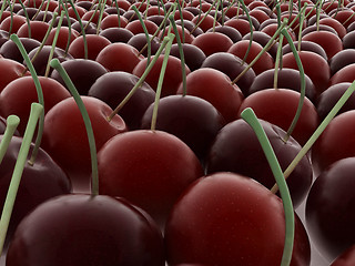 Image showing sweet cherries 