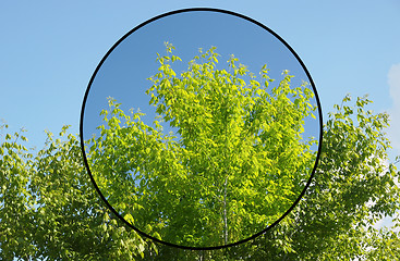 Image showing Polarising filter