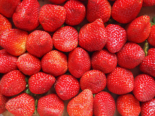Image showing Strawberries fruits