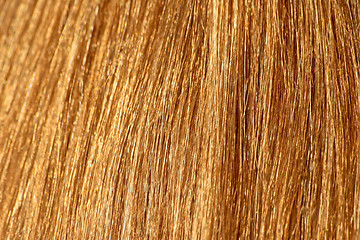 Image showing Blonde hair