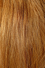 Image showing Natural hair