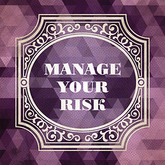 Image showing Manage Your Risk Concept. Vintage design.