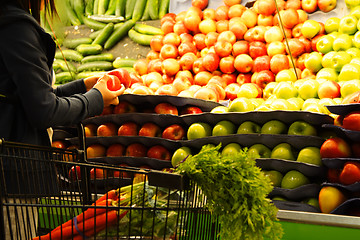 Image showing Grocery shopping
