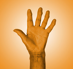 Image showing Hand symbol, saying five, saying hello or saying stop