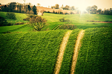 Image showing Agriculture field with large tracks