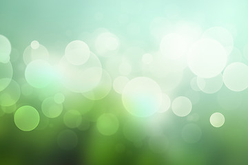 Image showing Abstract bokeh background with in soft green colors