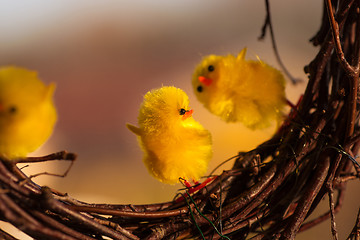 Image showing Yellow easter chickens dancing on some twigs