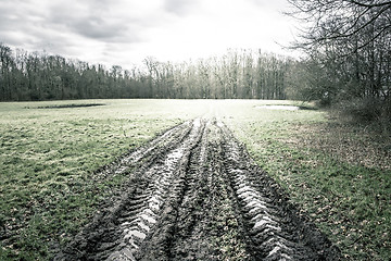 Image showing Large wheel tracks in the mud on a green field