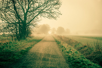 Image showing Sunrise at a countryside road in spring