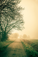 Image showing Misty road an early morning
