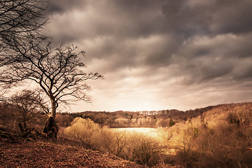 Image showing Dramatic landscape of a valley with sunshine shining through dar