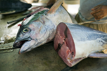 Image showing Tuna