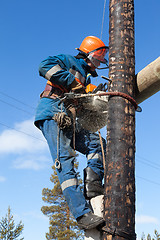 Image showing Electrician working on electricity pylon chainsaw 