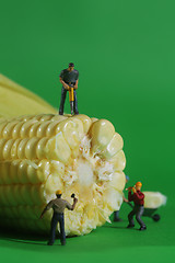 Image showing Miniature Construction Workers in Conceptual Food Imagery With C