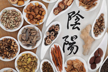 Image showing Yin and Yang Herbal Medicine