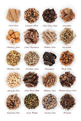 Image showing Chinese Herbs