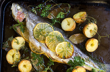 Image showing Baked Rainbow Trout