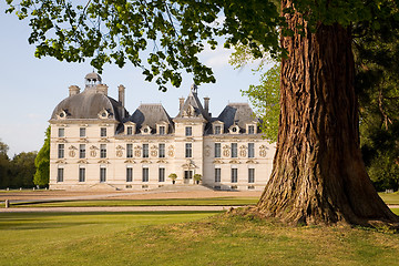 Image showing Chateau de Cheverny behind the tree