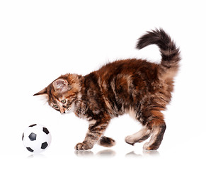 Image showing Kitten with ball