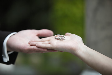 Image showing Hands of a bride and groom