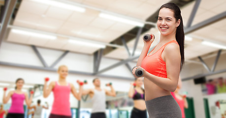 Image showing young sporty woman with light dumbbells