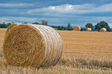 Image showing Harvest