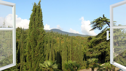 Image showing opened window to the tropic forest